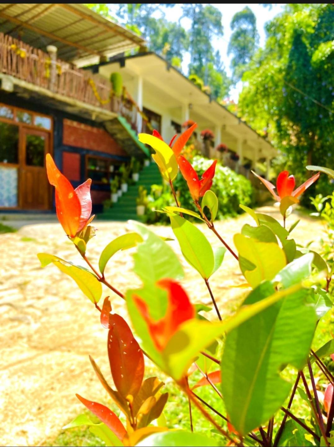 Hotel Blissful Haven Ella Exteriér fotografie