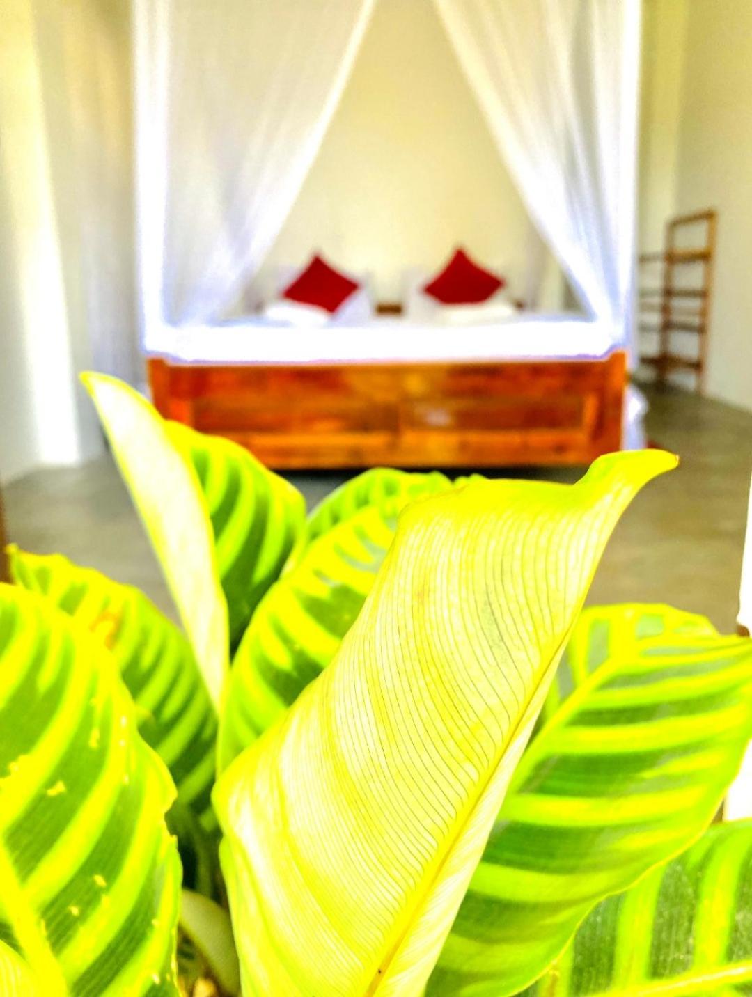 Hotel Blissful Haven Ella Exteriér fotografie